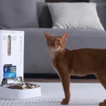 PETKIT YumShare Dual-hopper 2_1