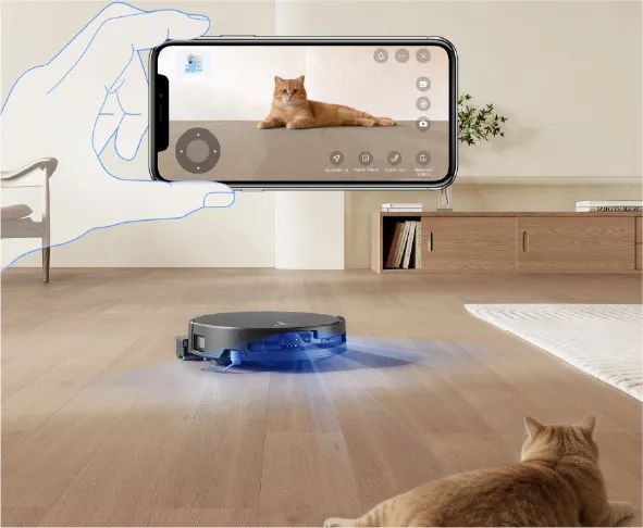 Lemmikloomasõbralik puhastus